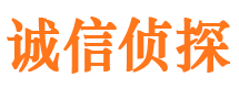 江南市侦探